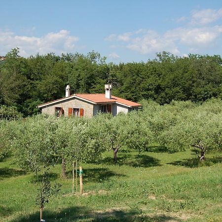 Villa Olivahouse à Marezige Extérieur photo