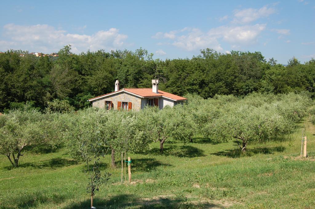 Villa Olivahouse à Marezige Extérieur photo